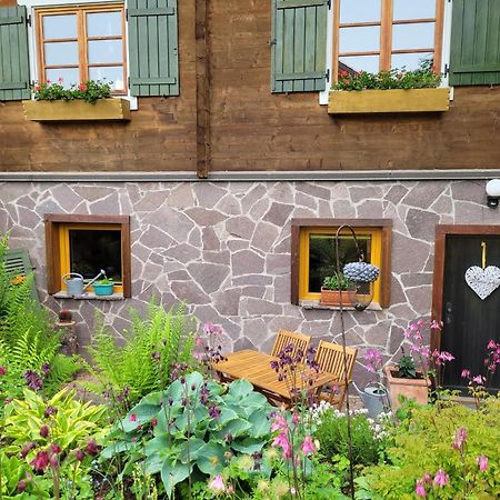 Blick In Den Garten Holzschlag Zewnętrze zdjęcie