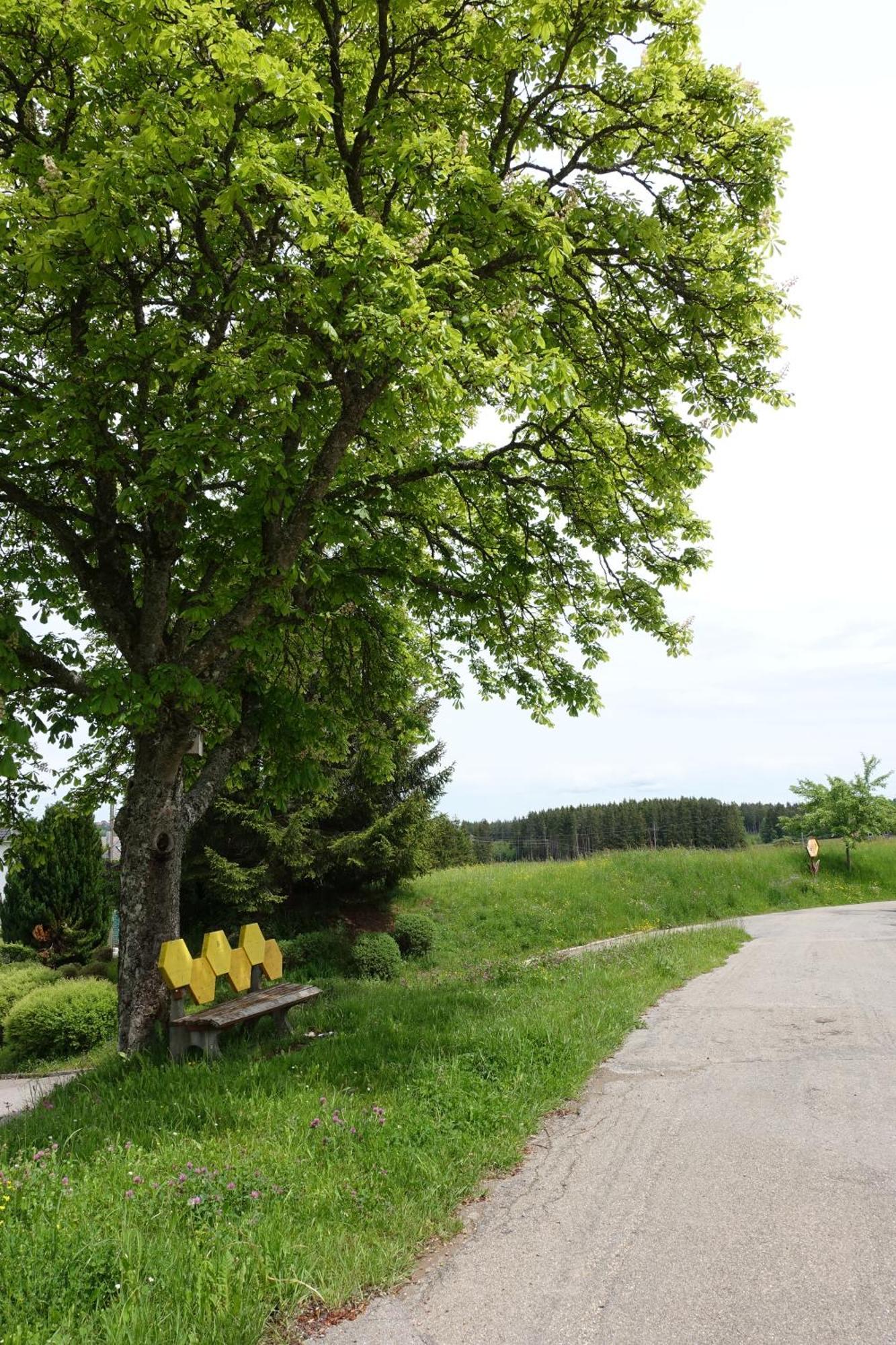 Blick In Den Garten Holzschlag Zewnętrze zdjęcie